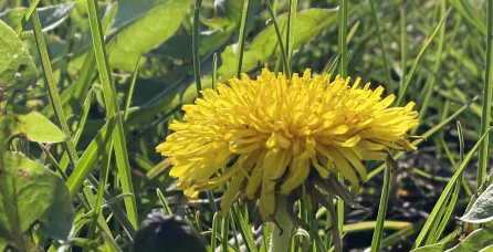 Start in den Frühling - Loslassen &amp; neue Energie tanken